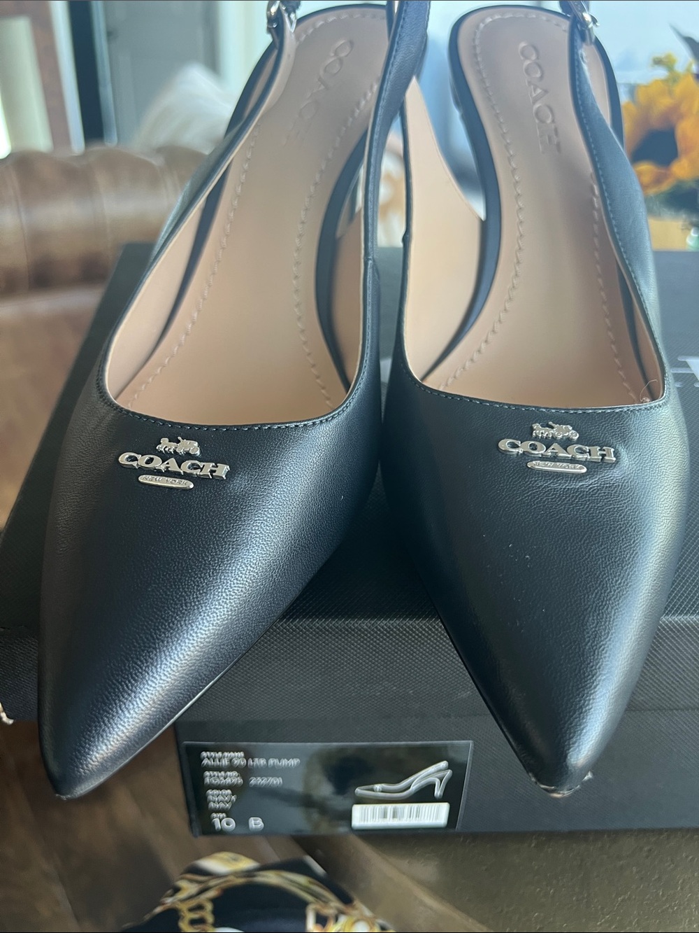 COACH Women's Navy Pointed-Toe Slingback Pumps